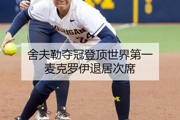 she-fu-lei-duo-guan-deng-ding-shi-jie-di-yi-mai-ke-luo-yi-tui-ju-ci-xi-2-269.jpg