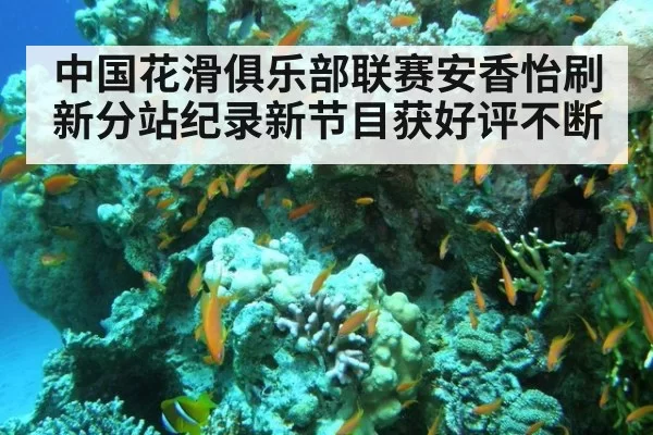 中国花滑俱乐部联赛安香怡刷新分站纪录新节目获好评不断